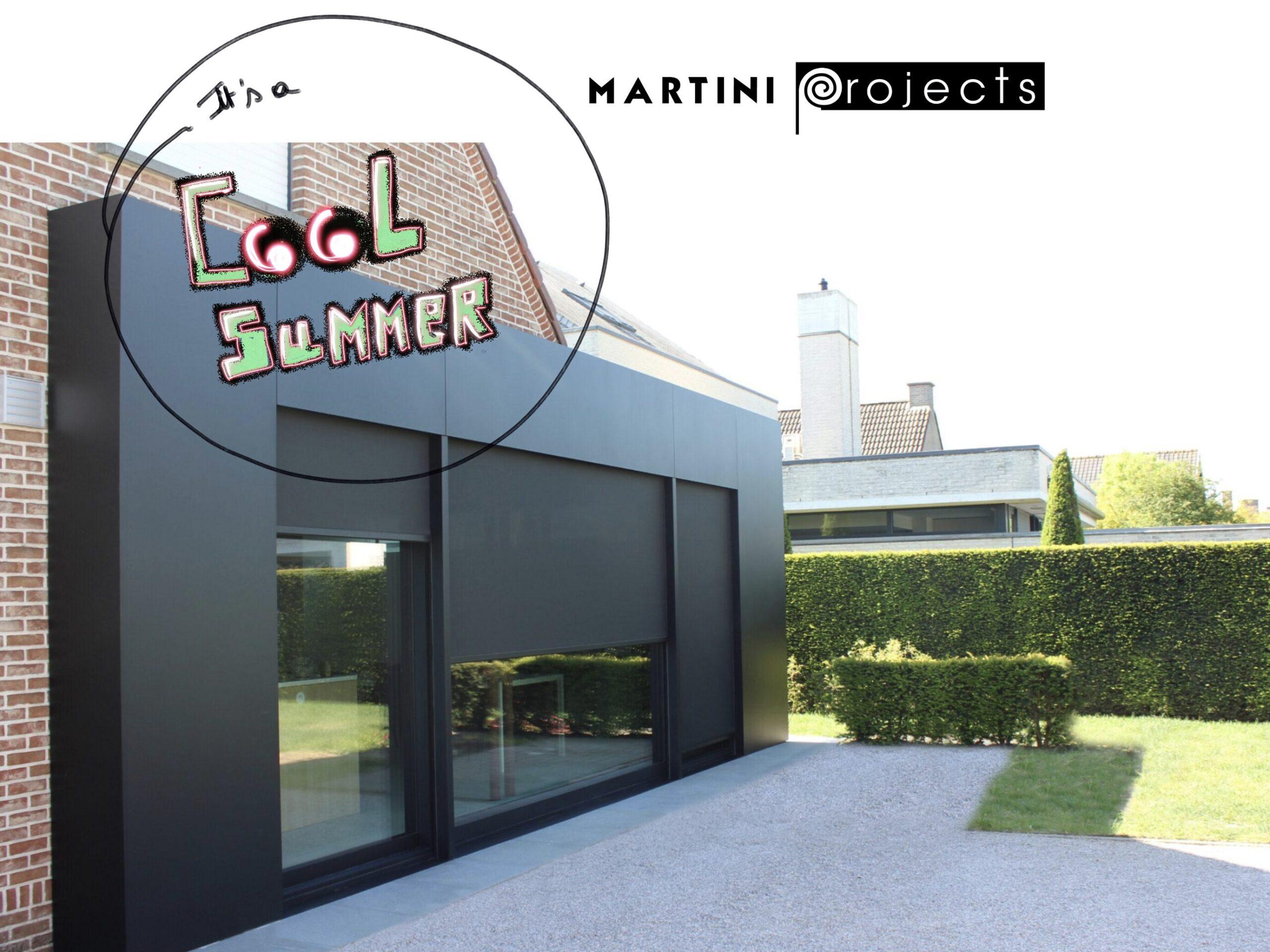 Realisatie screens Martini Projects